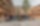 14.10.2019 Fuchs, Goldmedaillen und Bier